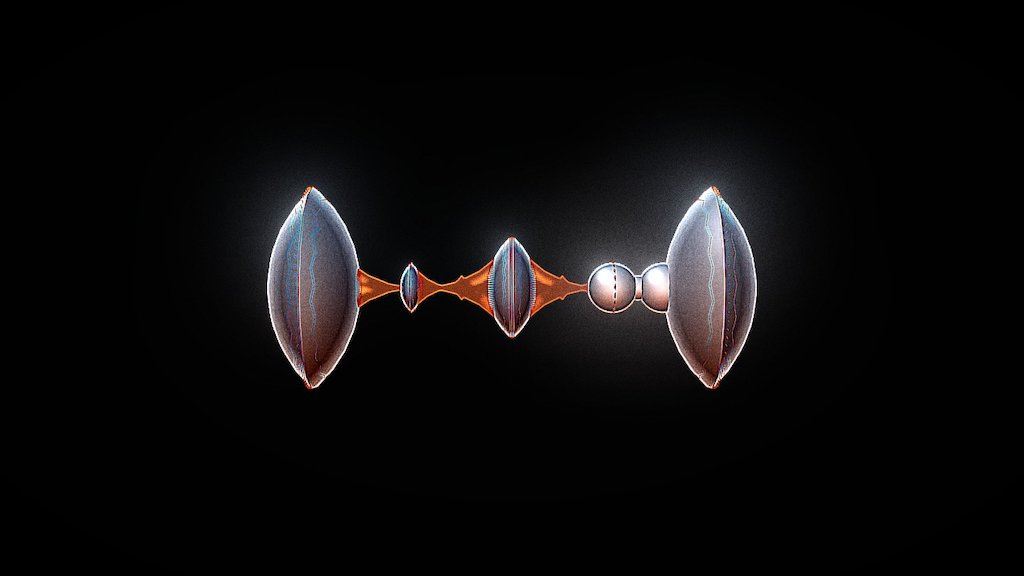 Nature's projection system