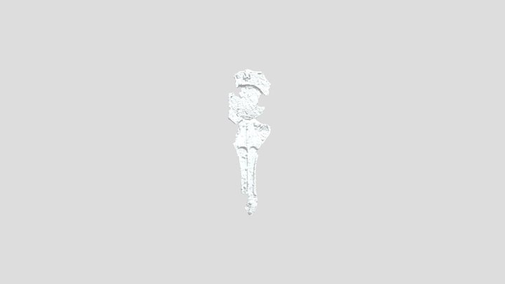 MASCHERA 3D Model