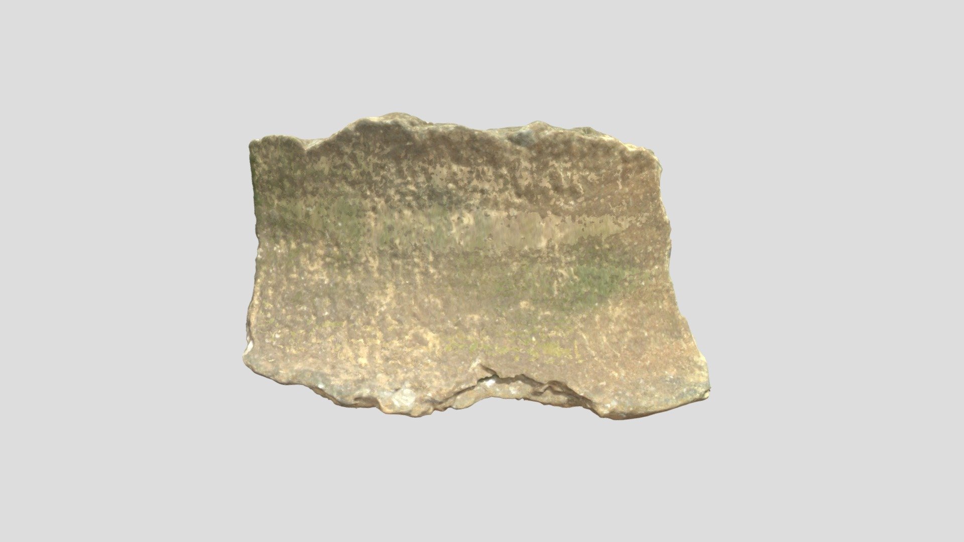 Shell-tempered Cordmarked Rim (VCU_3D_4919)