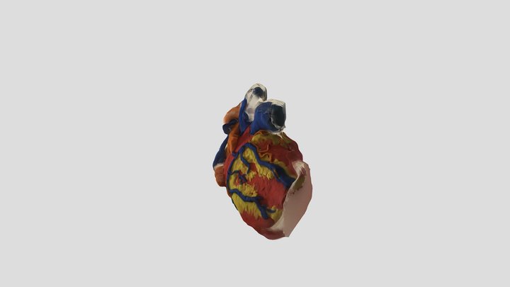 a2heart-1 3D Model