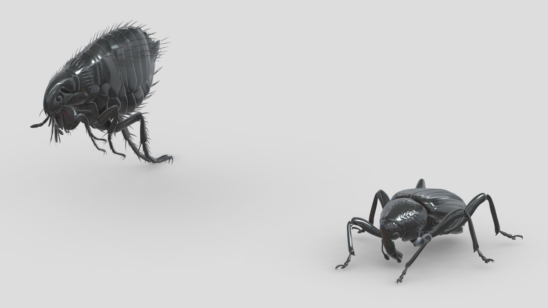 3D model Insects&beetles-pack12 - This is a 3D model of the Insects&beetles-pack12. The 3D model is about a group of black and white crabs.