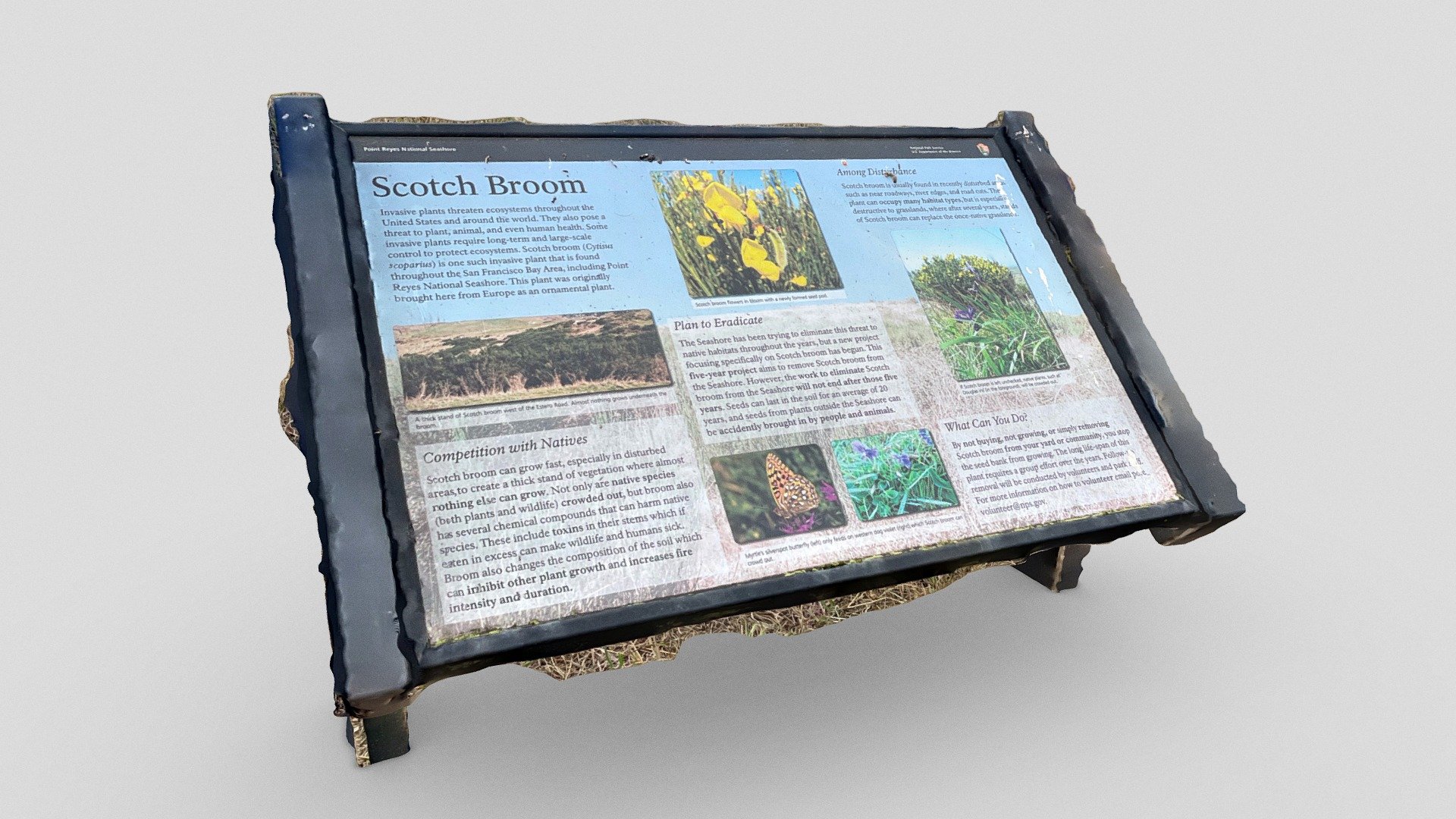 Information panel (WE in Point Reyes)