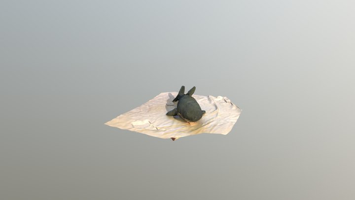 Shark 3D Model