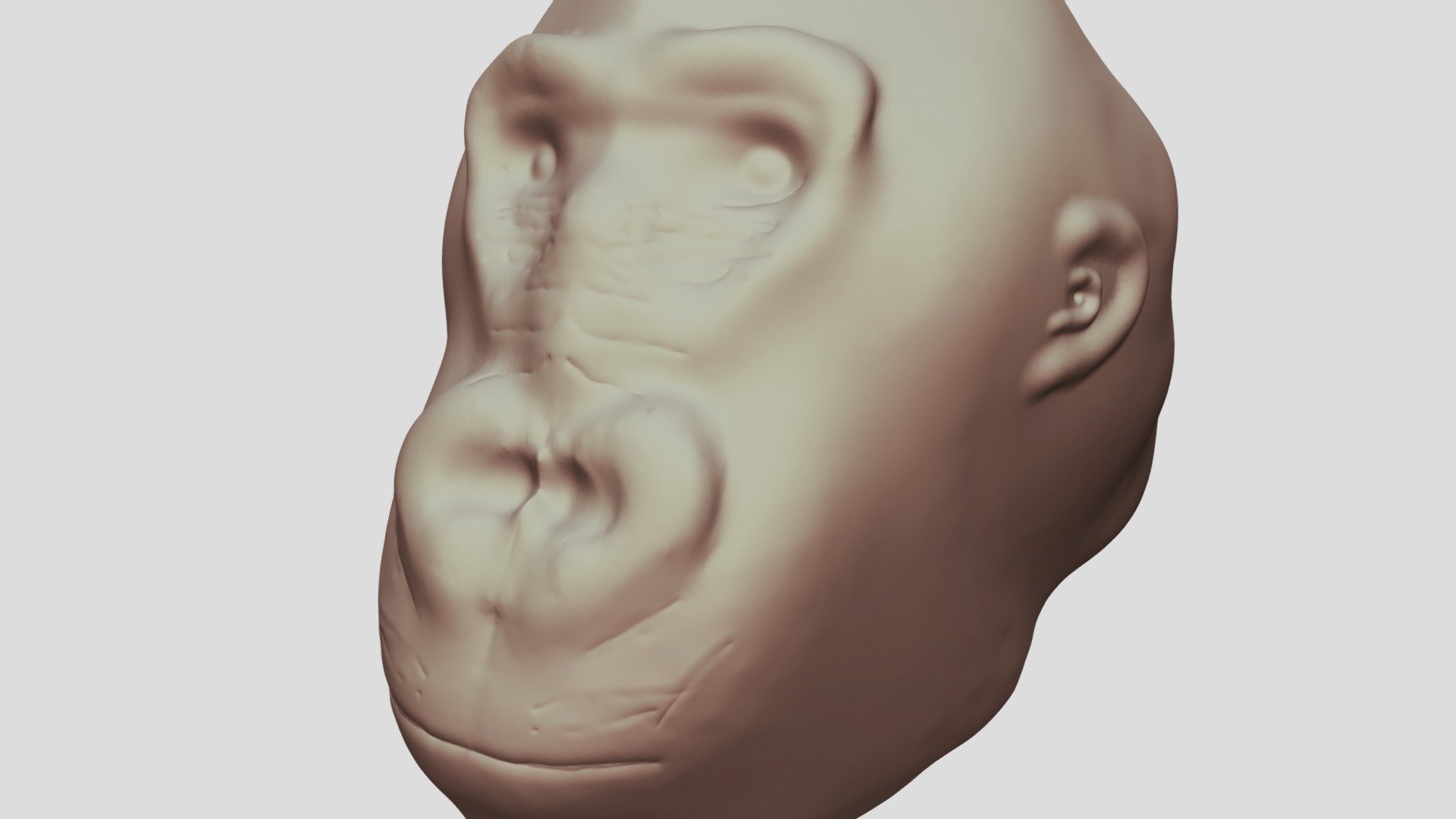 Gorilla