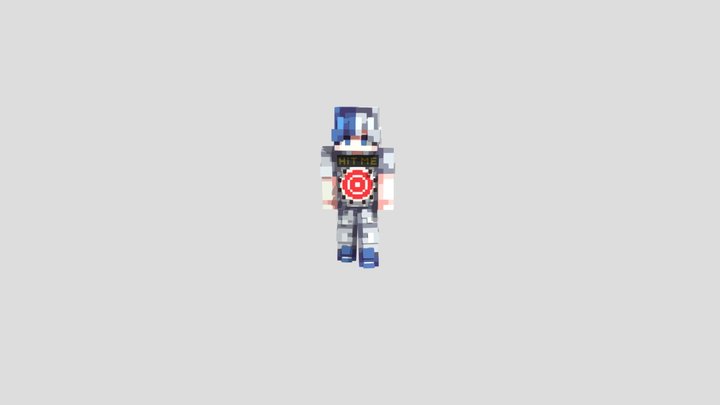 Target Back Player 3D Model
