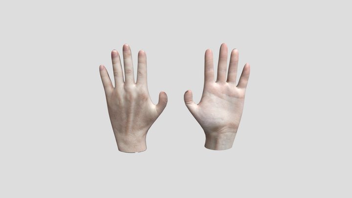Manos 3D Model
