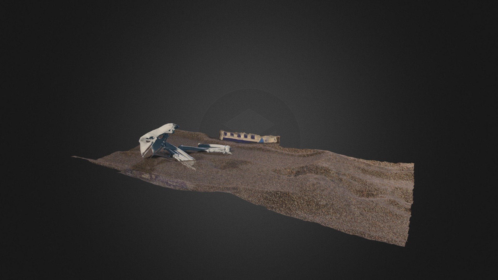 XROMM Test Run