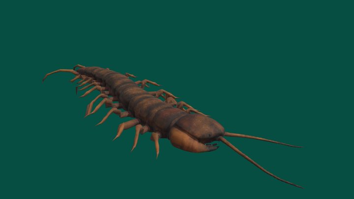 Centipede Test 2 (Non-Commercial) – Free 3D Model STL