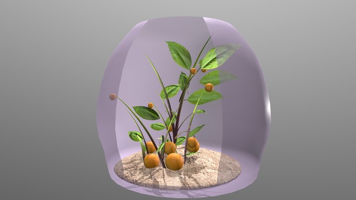 OrganOrange Phase 4: Delivery 3D Model