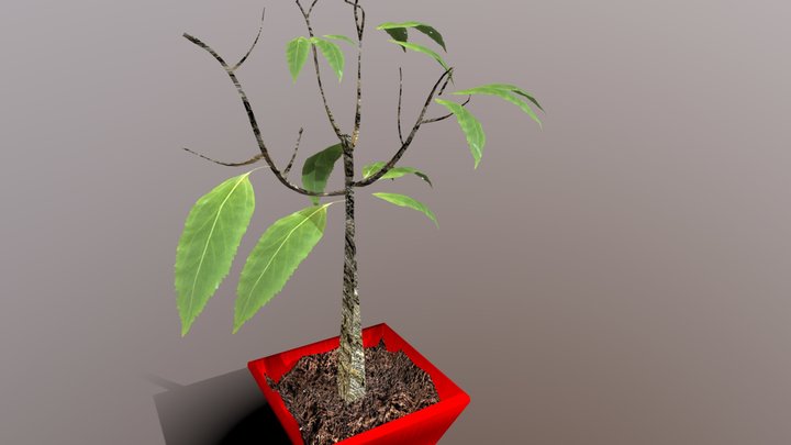 Jacob Crow - CGT 116 - Plant 3D Model
