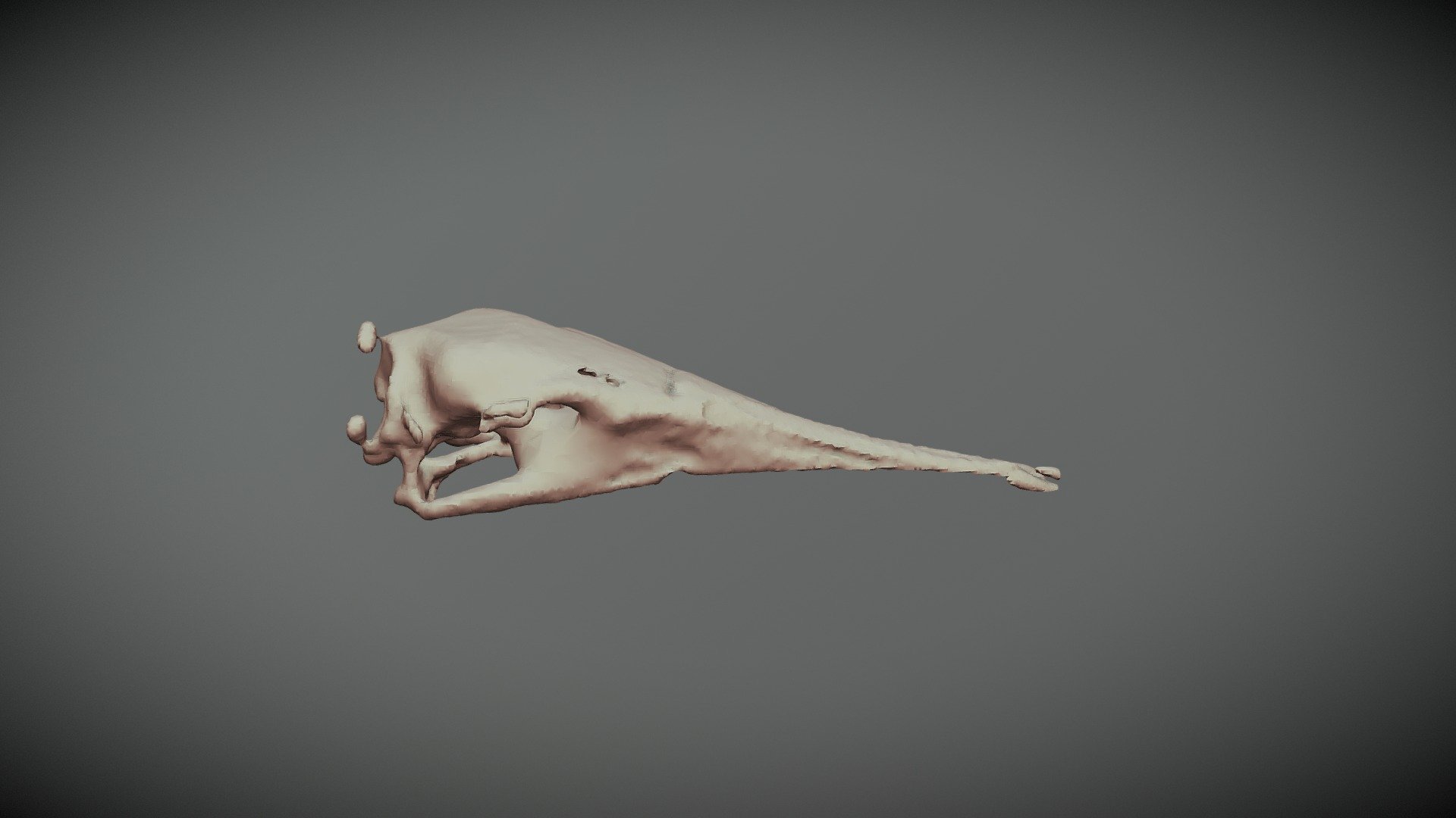1G-Heronskull-8241