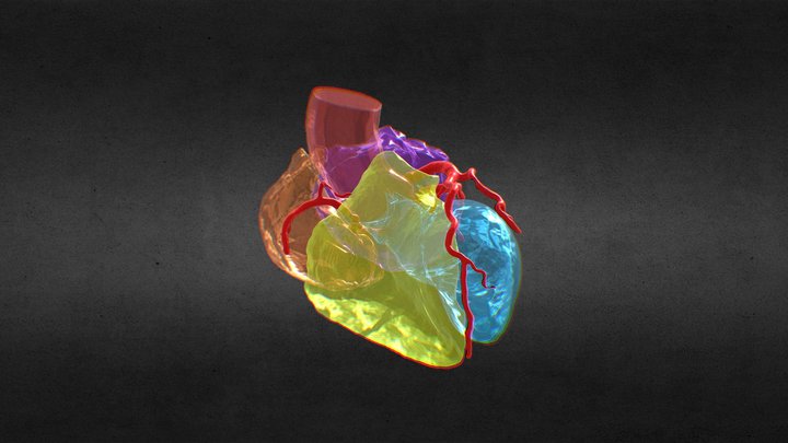 Anomalous Origin LCX 3D Model
