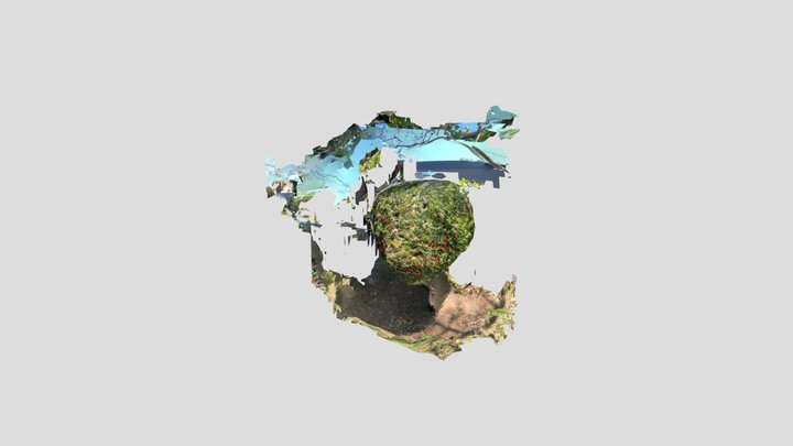 bush with red berries 3D Model