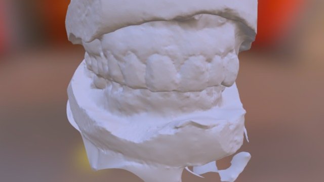 Primary Model Test 3D Model