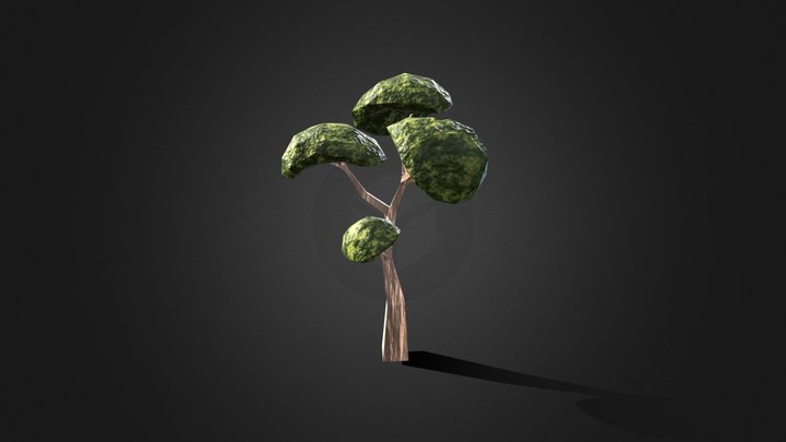 My first tree 3D Model