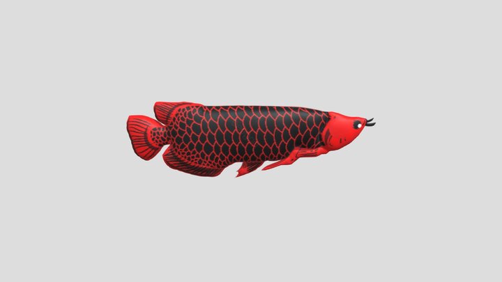 IKAN ARWANA MERAH 3D Model