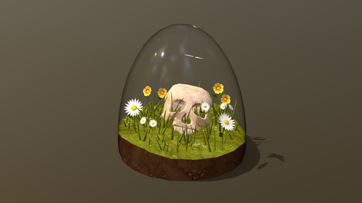 Skull Terarrium 3D Model