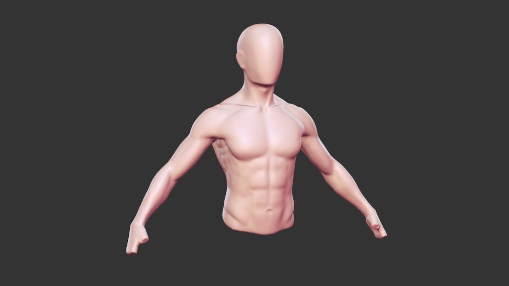 Torso 01