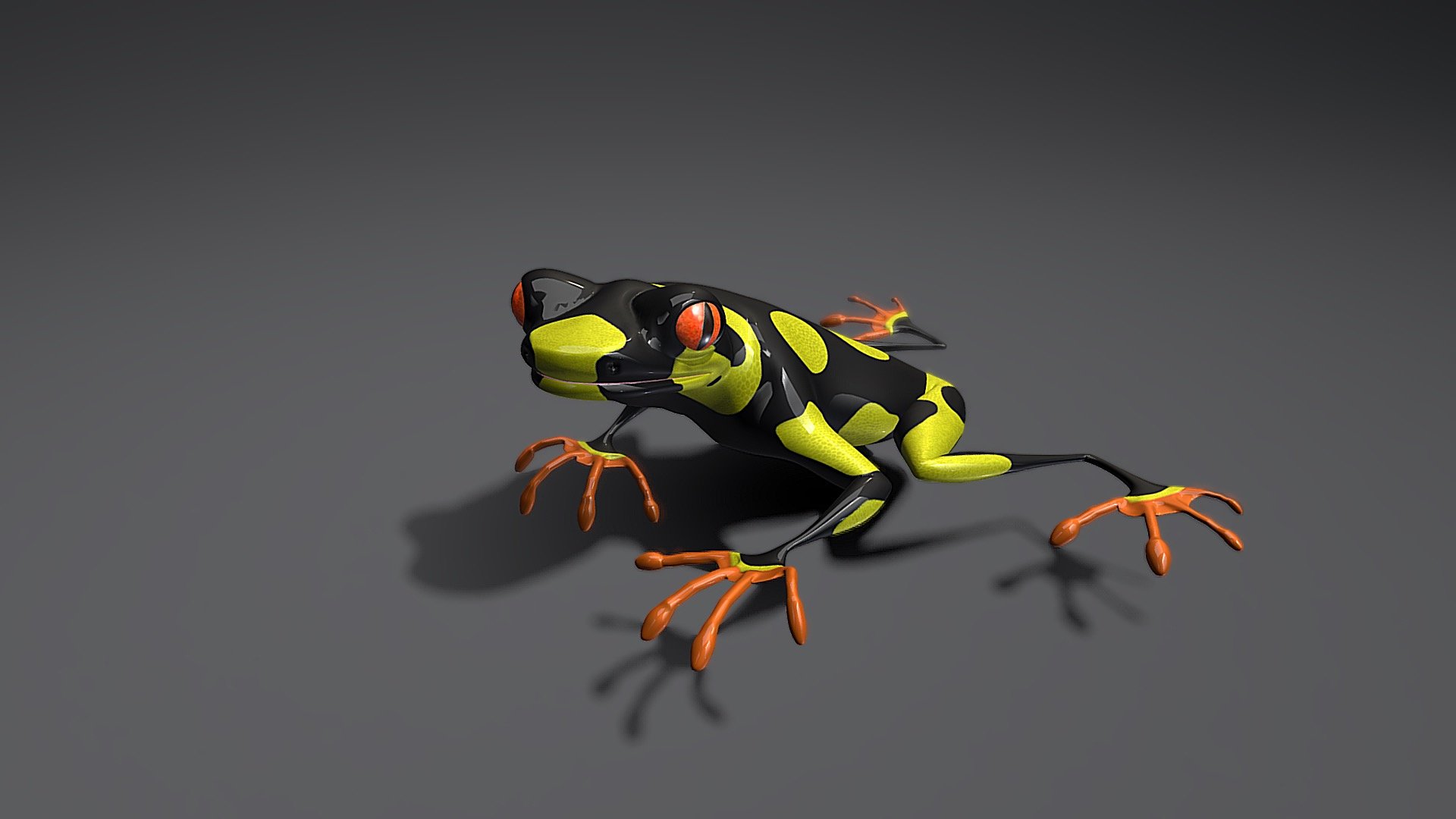 Test: Tree frog