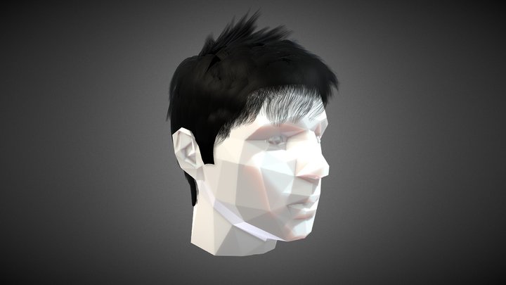 Hair Style 4 - Short and Messy 3D Model