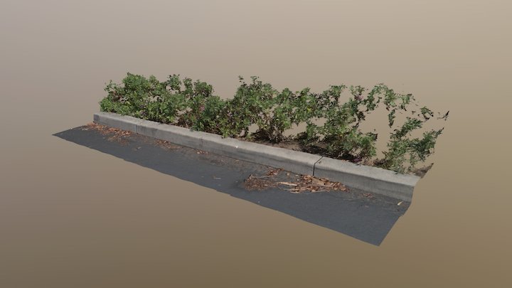 Curb Scan, 16mm lens – Free 3D Model STL