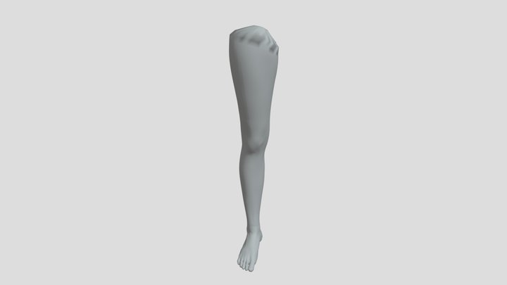 LEG 3D Model