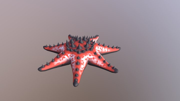 SM_Chocolate_Chip_Sea_Star 3D Model