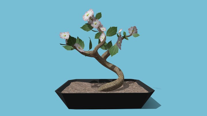 Bonsai Tree 3D Model
