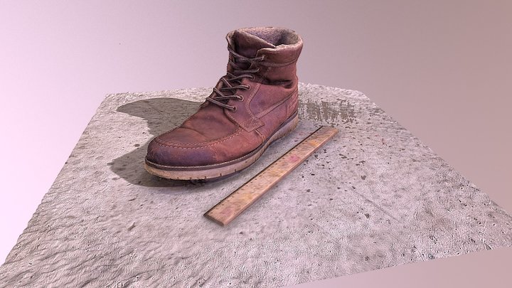 My Shoe 3D Model