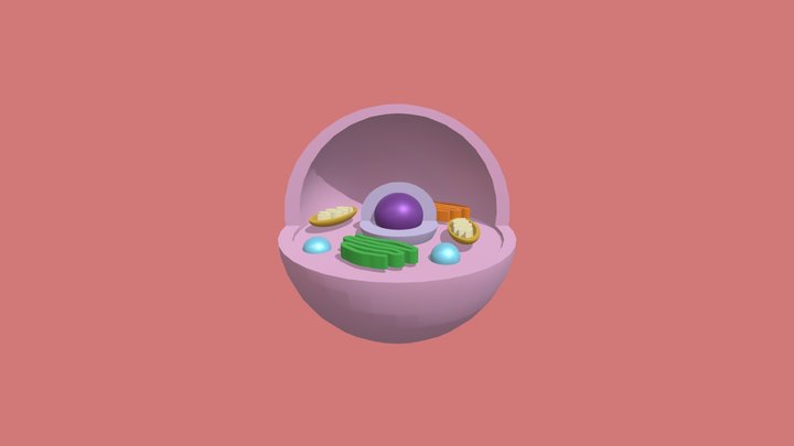 Cell Risti 3D Model