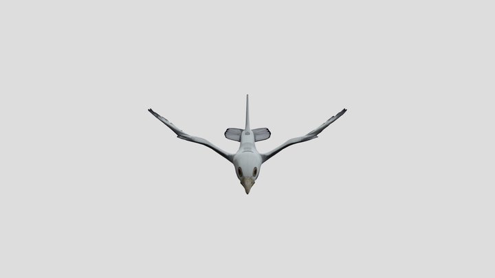 Sample (3) 3D Model