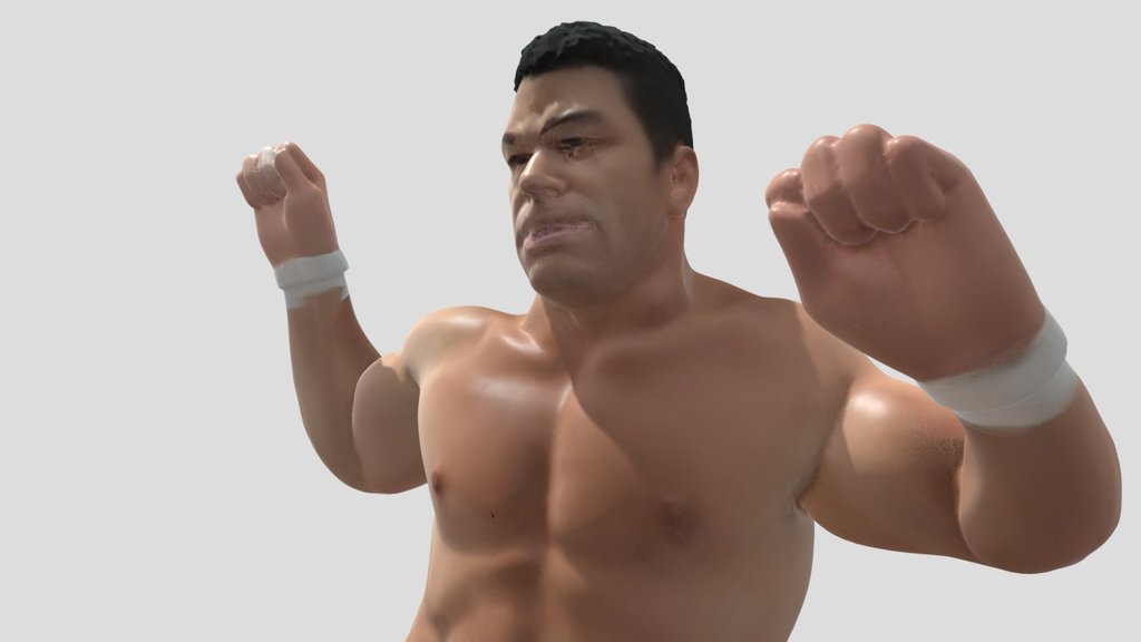 ProWrestling