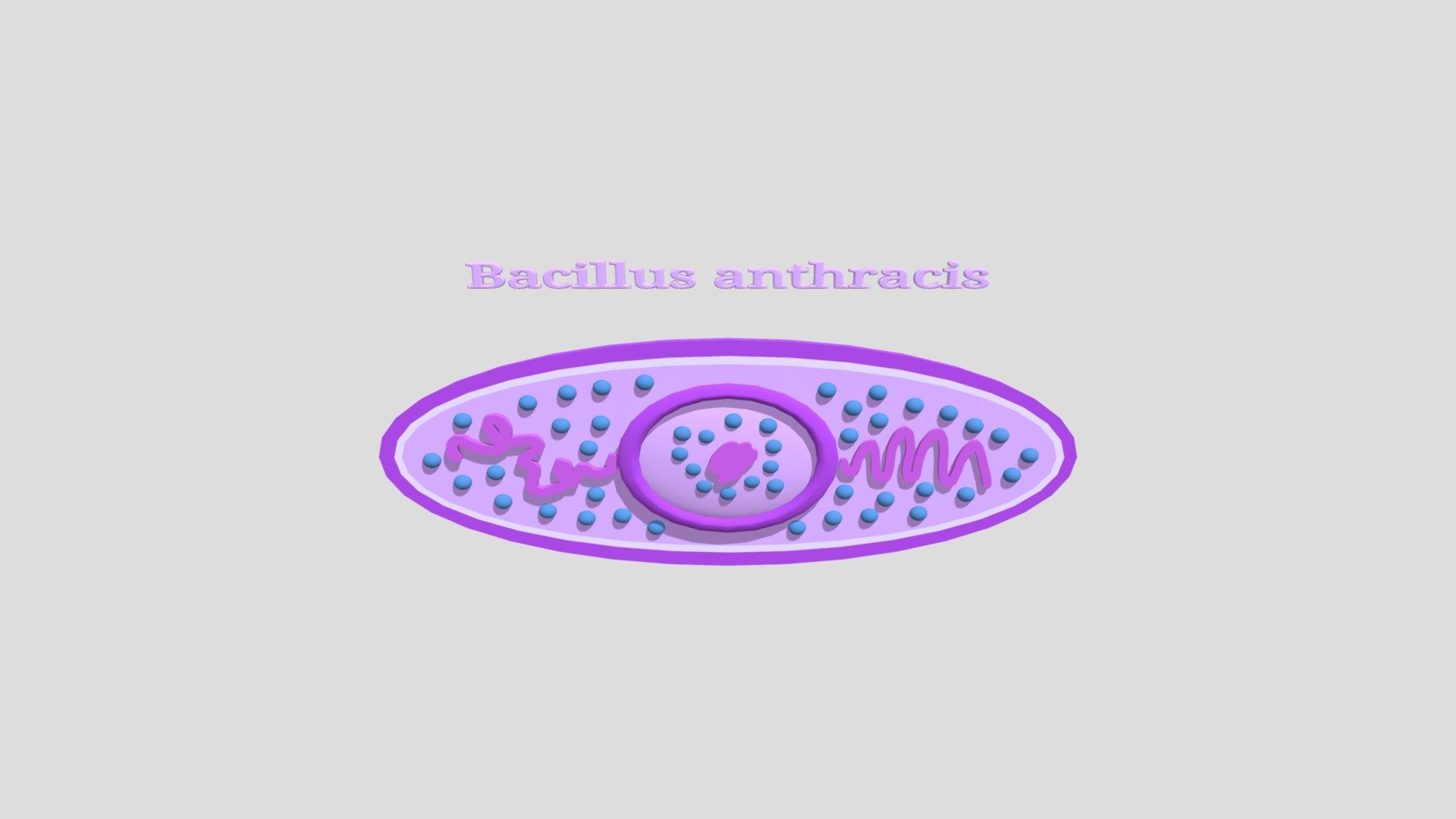 MICROUGHS_Bacillus_anthracis_ZASM