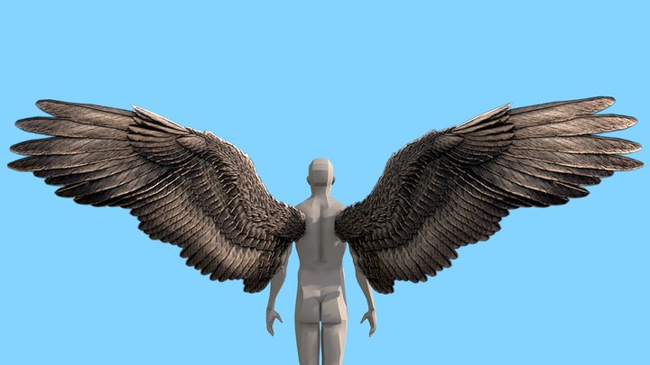 Dark-Angel-Wings + Human-Base-Mesh 3D Model