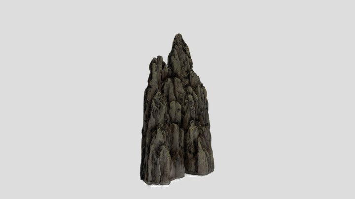 Rock/wood Decor 3D Model