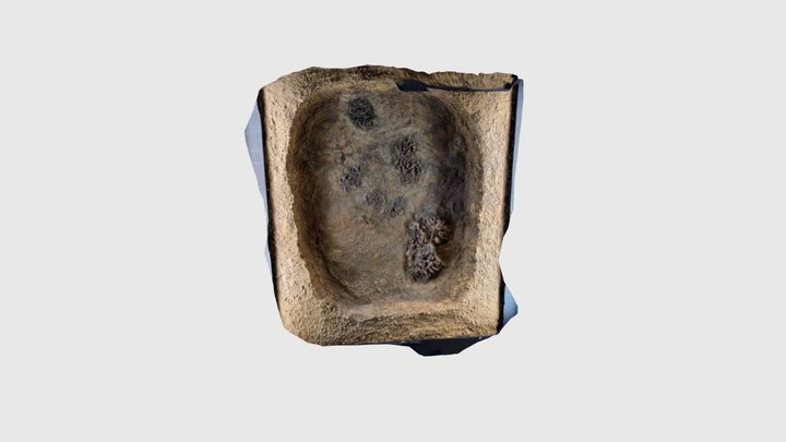 函館市縄文文化交流センター 3D Model