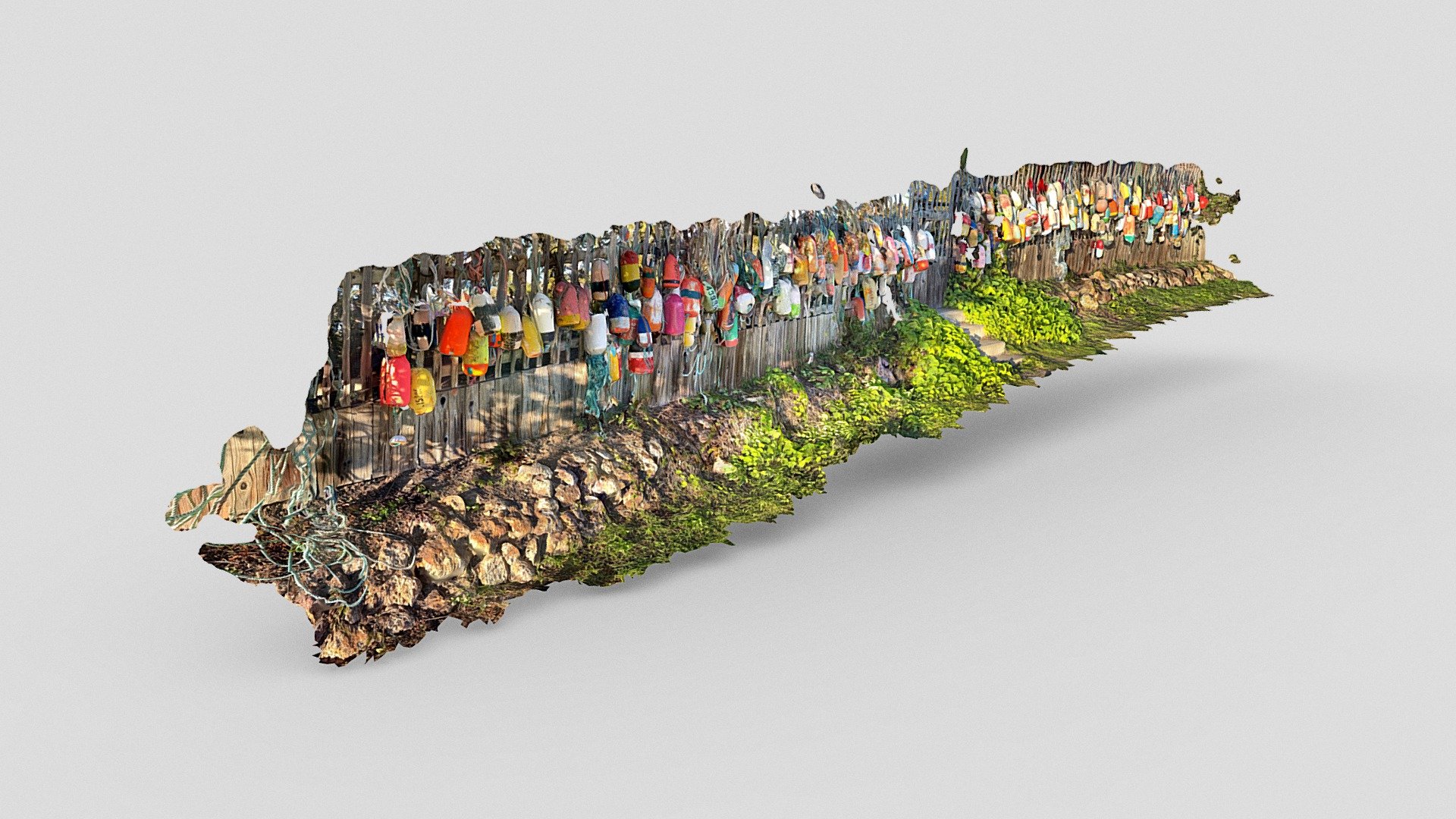 Floats, Point Reyes