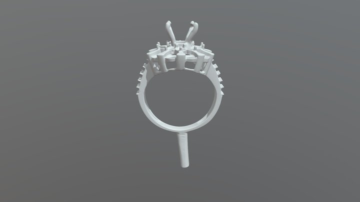 Ring 3D Model