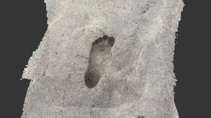 Footprint 3D Model