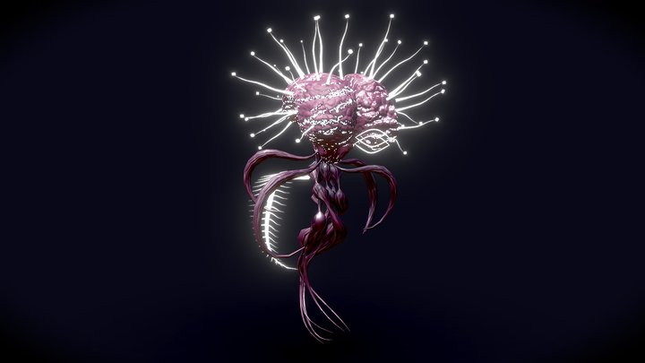 Sentience 3D Model