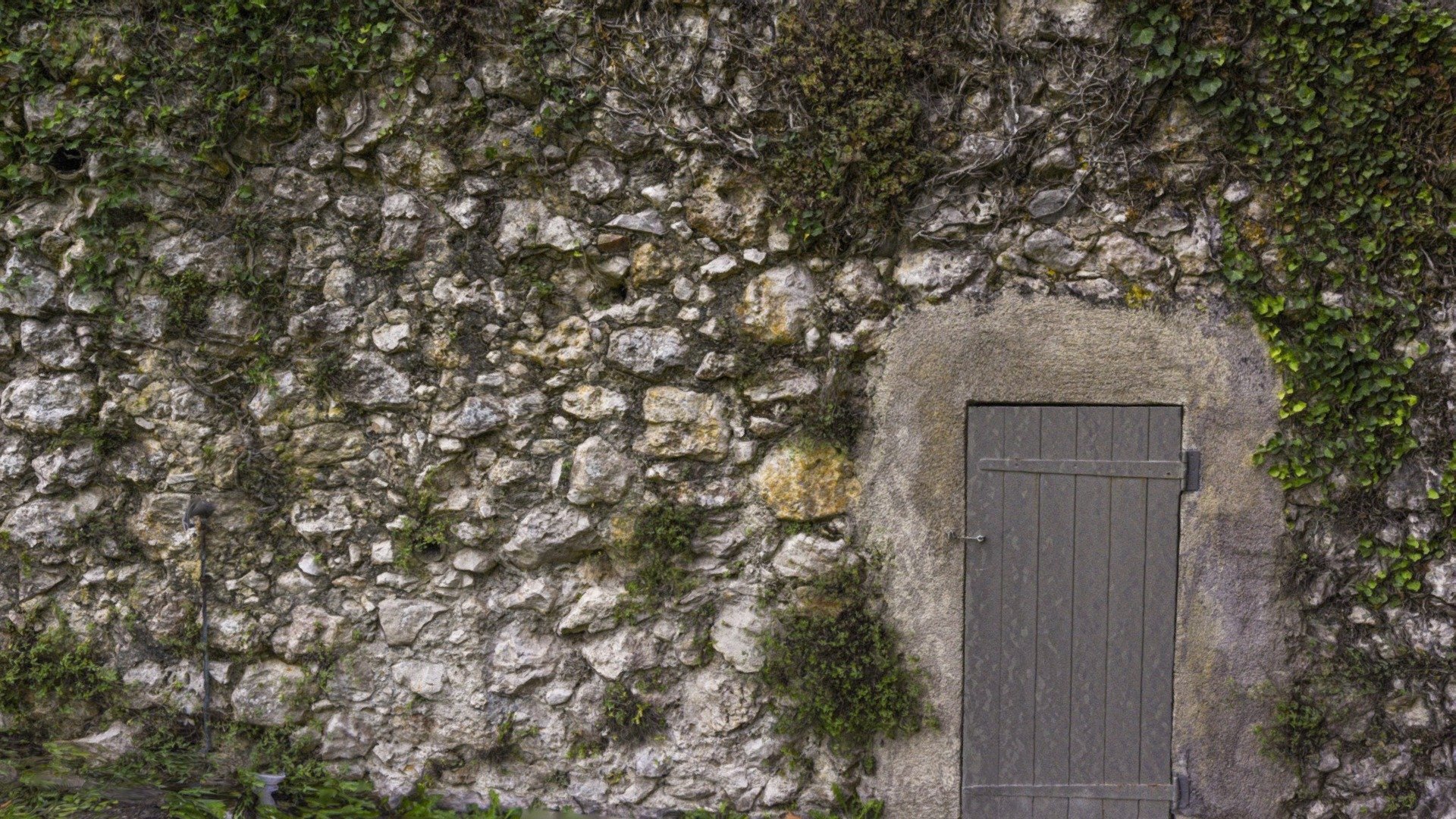 190822_albertas_wall
