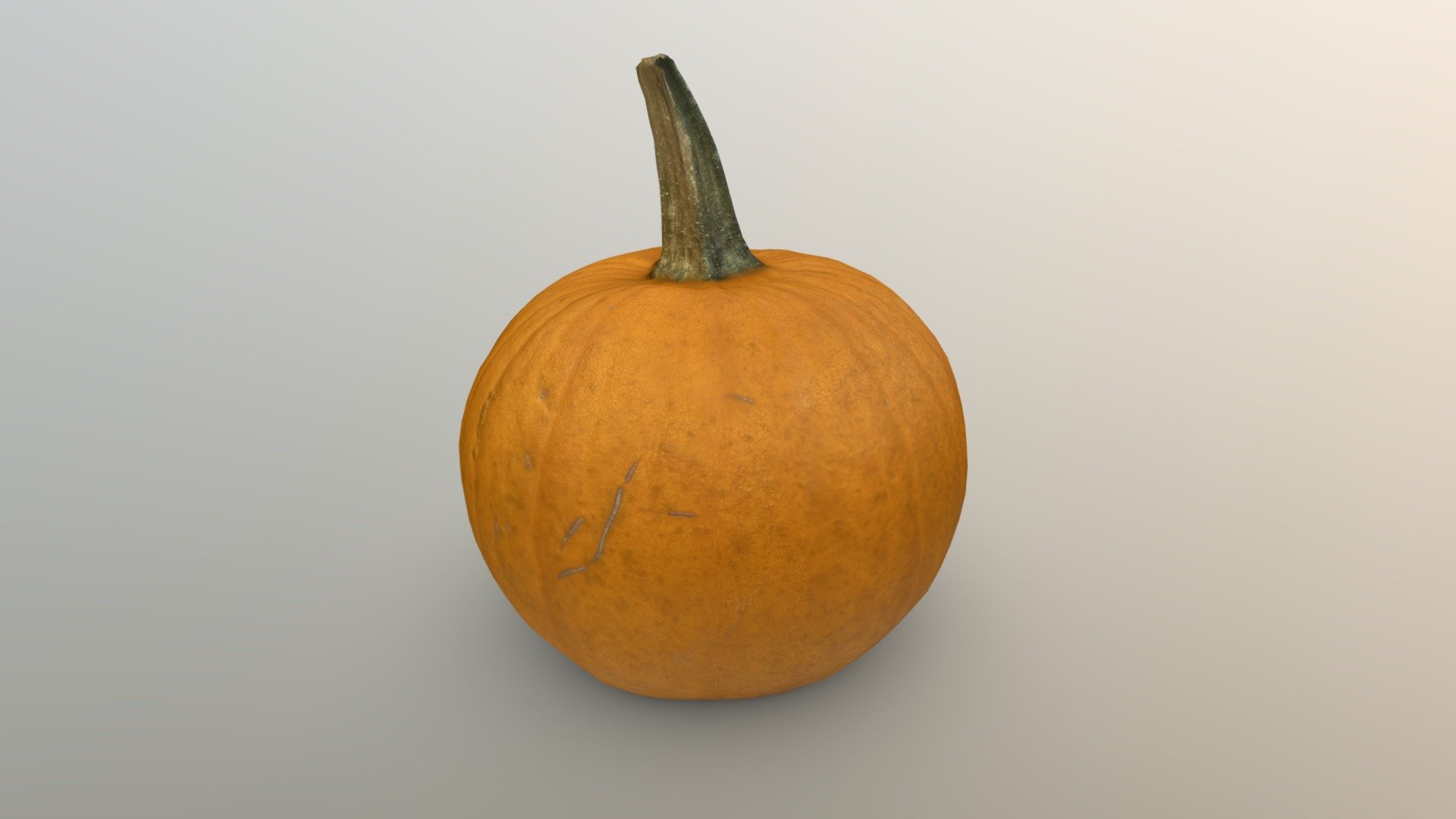 Pumpkin (photogrammetrised)