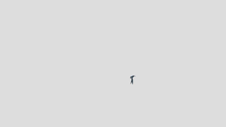 Toothless Flying Uv 3D Model
