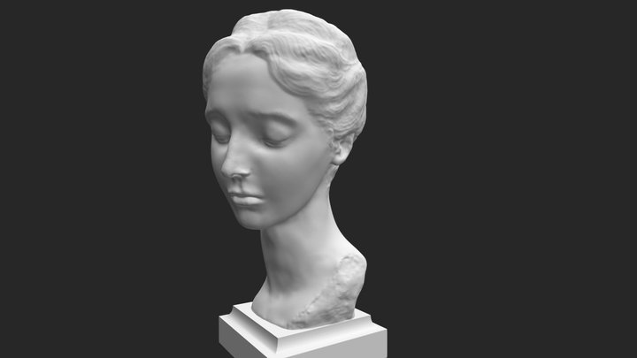 Woman Face Is Beautiful 3D Model