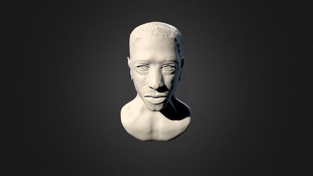 Stanfield 3D Model