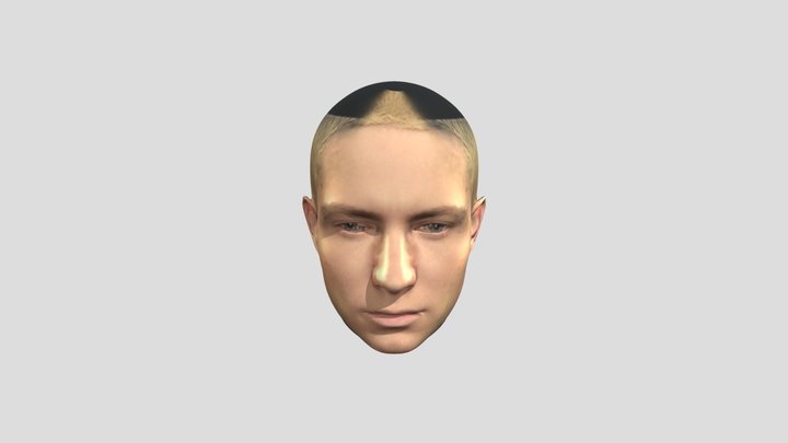 Eminem 3d head model