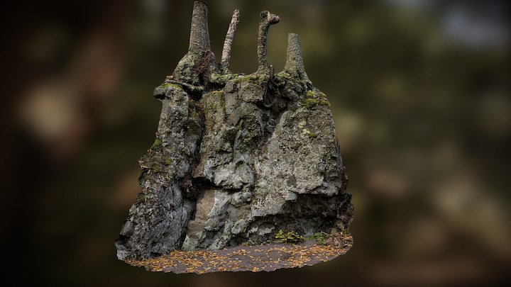 06-W1_01 3D Model