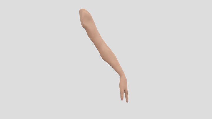 Human Female Arm 3D Model