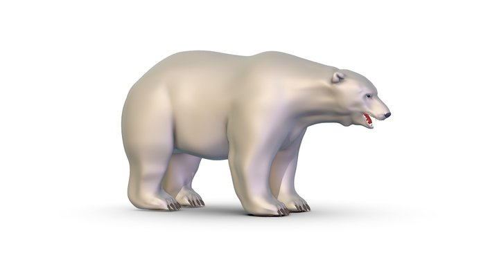 High Poly Model White Polar Bear 3D Model