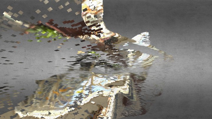 #1 Photogrammetry manipulation ver1 3D Model